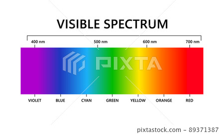 Visible light spectrum. Electromagnetic visible color spectrum for human eye. Vector gradient diagram with wavelength and colors. Educational illustration on white background 89371387
