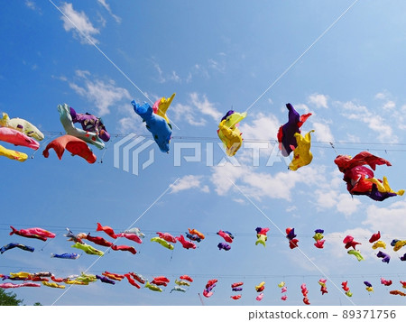 Carp streamer in Taishogawa Riverbed Park, Settsu City, Osaka (early summer) 89371756