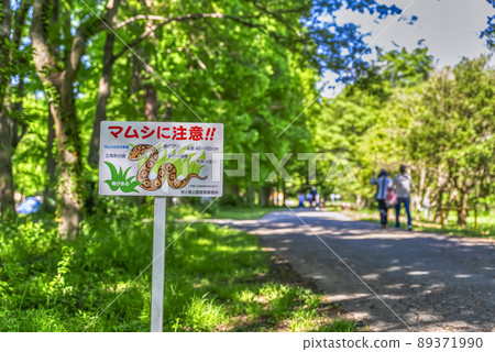 Mamushi警告標誌秋瀨公園 89371990