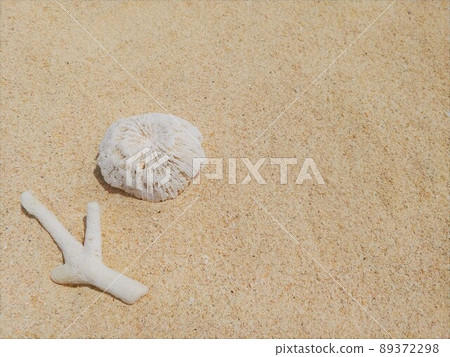 沖繩珊瑚和沙灘 2 89372298