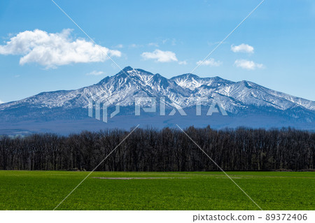 北海道知床半島的春天風景 89372406