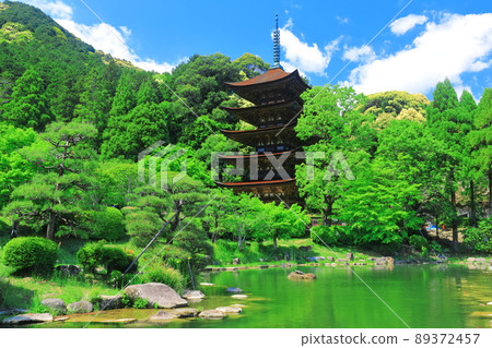 [Yamaguchi Prefecture] Fresh green Ruriko-ji Five-storied Pagoda and Tower Shadow Pond 89372457