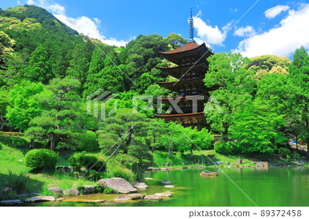 [Yamaguchi Prefecture] Fresh green Ruriko-ji Five-storied Pagoda and Tower Shadow Pond 89372458
