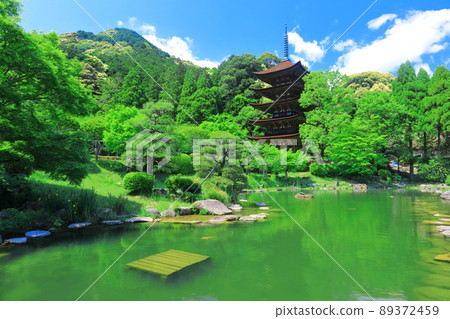 [Yamaguchi Prefecture] Fresh green Ruriko-ji Five-storied Pagoda and Tower Shadow Pond 89372459