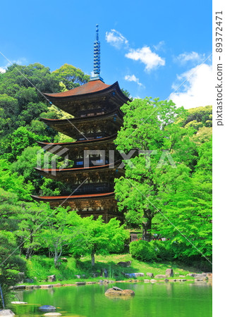 [Yamaguchi Prefecture] Fresh green Ruriko-ji Five-storied Pagoda and Tower Shadow Pond 89372471