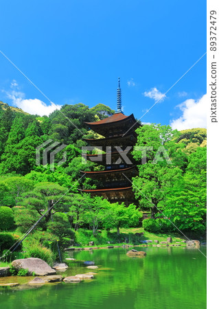 [Yamaguchi Prefecture] Fresh green Ruriko-ji Five-storied Pagoda and Tower Shadow Pond 89372479