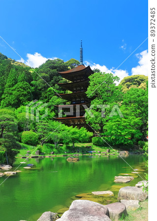[Yamaguchi Prefecture] Fresh green Ruriko-ji Five-storied Pagoda and Tower Shadow Pond 89372485