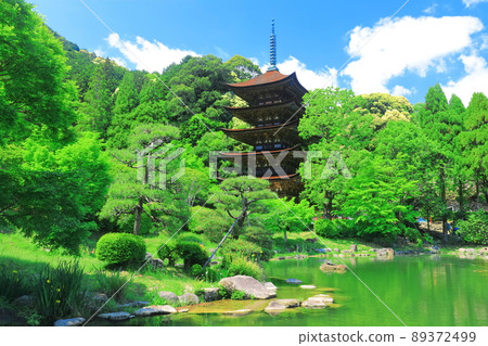 [Yamaguchi Prefecture] Fresh green Ruriko-ji Five-storied Pagoda and Tower Shadow Pond 89372499