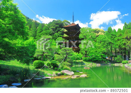 [Yamaguchi Prefecture] Fresh green Ruriko-ji Five-storied Pagoda and Tower Shadow Pond 89372501