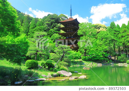 [Yamaguchi Prefecture] Fresh green Ruriko-ji Five-storied Pagoda and Tower Shadow Pond 89372503