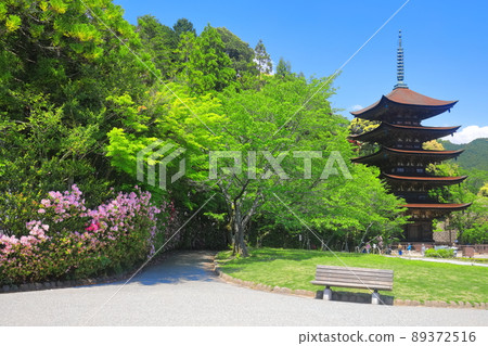 [Yamaguchi Prefecture] Fresh green Ruriko-ji Five-storied Pagoda 89372516