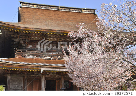 [Yoshinoyama, Nara Prefecture] Kinpusenji Temple in Spring (World Heritage Site) 89372571