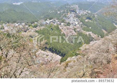 [奈良縣吉野山]神仙櫻花 89373632