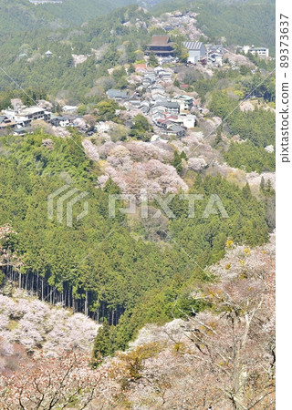 [奈良縣吉野山]神仙櫻花 89373637