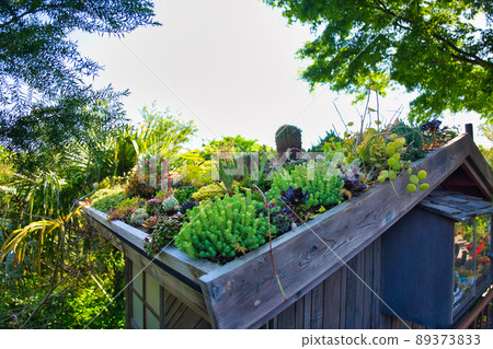 Roof gardening Roof gardening 89373833