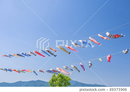 A carp streamer that is blown by the wind and swims vigorously 89373906