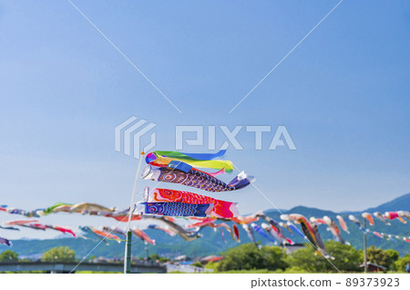 A carp streamer that is blown by the wind and swims vigorously 89373923