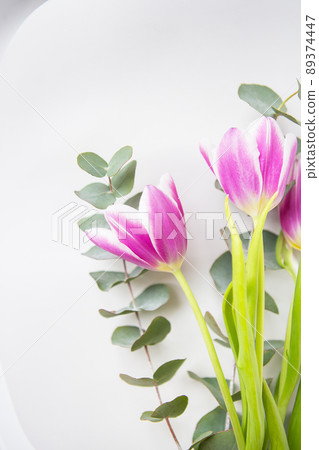 Beautiful purple tulip with eucalyptus on a white chair. Spring mood. Postcard for March 8. Beautiful purple tulip with eucalyptus on a white chair. Spring mood. Postcard for March 8. 89374447
