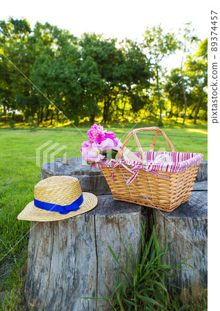 Bright summer picnic 89374457