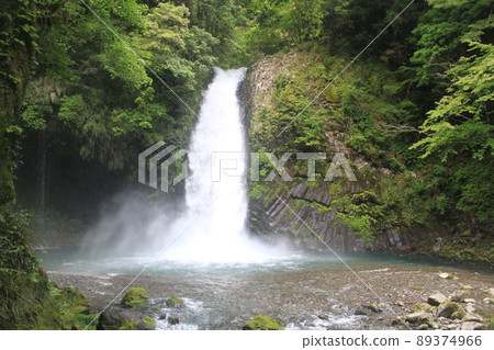 Shizuoka Izu Joren Falls Shizuoka Izu Joren Falls 89374966