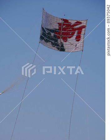 2022年令和第4年 座間市相模河大風箏空中飛舞新風 89375042