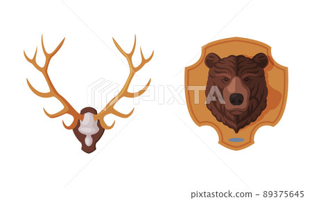 Bear Head and Deer Antler Hanging on Wall as Hunting Trophy Vector Set. Bear Head and Deer Antler Hanging on Wall as Hunting Trophy Vector Set. 89375645