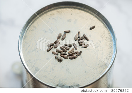 牛蒡種子 牛蒡種子 89376222