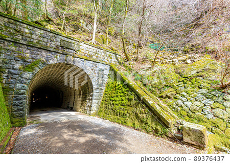 Former Amagi Tunnel in early spring, Izu City, Shizuoka Prefecture 89376437