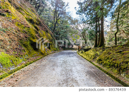 Amagi Pass in early spring, Izu City, Shizuoka Prefecture 89376439