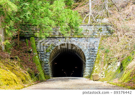 Former Amagi Tunnel in early spring, Izu City, Shizuoka Prefecture Former Amagi Tunnel in early spring, Izu City, Shizuoka Prefecture 89376442