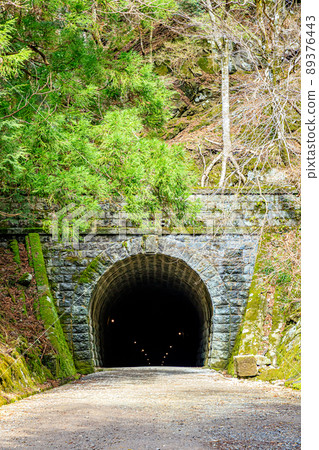 Former Amagi Tunnel in early spring, Izu City, Shizuoka Prefecture 89376443
