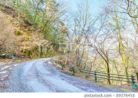 靜岡縣伊豆市初春的天城峠 89376458