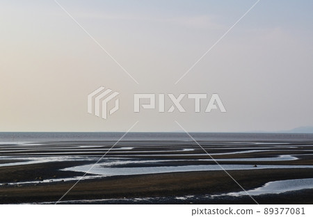 Okoshiki coast at dusk in spring Kumamoto 89377081