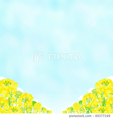 油菜田和藍天景觀 89377289