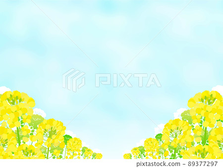 油菜田和藍天景觀 89377297