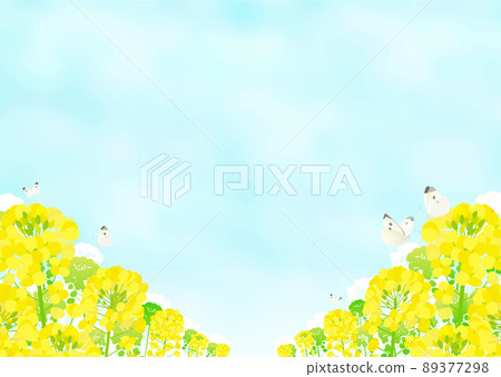 油菜田、白菜蝴蝶和藍天風景 油菜田、白菜蝴蝶和藍天風景 89377298