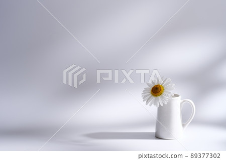 Margaret flower background material Margaret flower background material 89377302