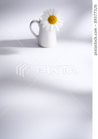 Margaret flower background material Margaret flower background material 89377326