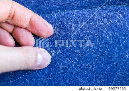 Wool, dog hair, on furniture, car seat. Pet care and pet grooming 89377363