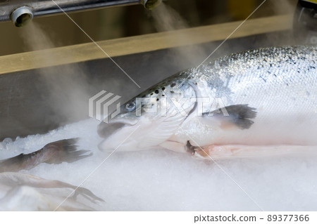 Fresh raw salmon on ice. Products storage chilled. Selective focus 89377366