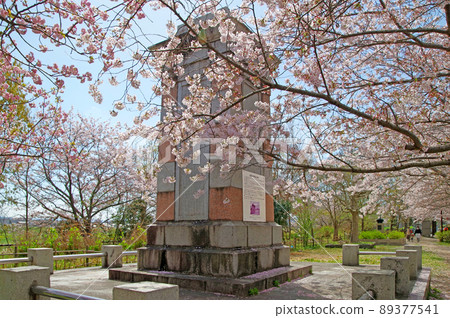 A row of cherry blossom trees on the riverbed of the Onga River in Nogata City, Fukuoka Prefecture and a monument to repair the Onga River A row of cherry blossom trees on the riverbed of the Onga River in Nogata City, Fukuoka Prefecture and a monument to repair the Onga River 89377541