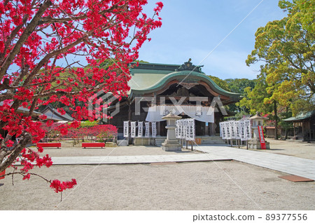 桃花盛開的福岡縣直方市多賀神社禮拜堂 89377556
