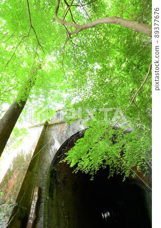 艾吉隧道群藍楓 艾吉隧道群藍楓 89377676