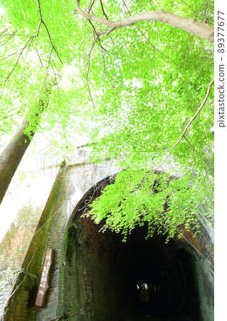 艾吉隧道群藍楓 艾吉隧道群藍楓 89377677