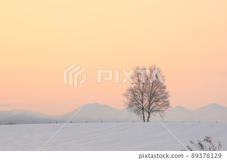 [Biei-cho, Hokkaido] Sunrise, Tokachidake Federation and Ippongi 89378129