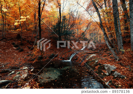 Falls in the autumn forest Falls in the autumn forest 89378136