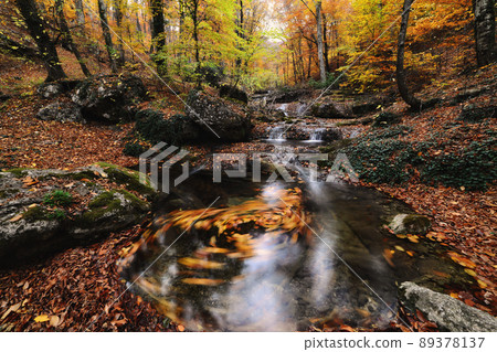 Falls in the autumn forest 89378137