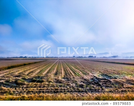 Morning rural scenery Morning rural scenery 89379883