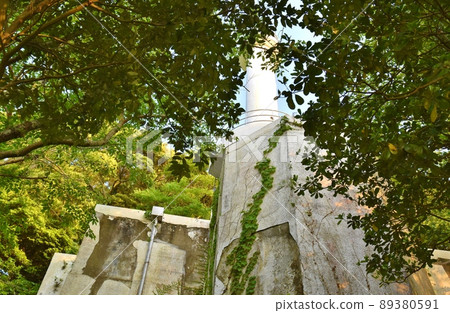 熊本樹上的住吉燈塔 熊本樹上的住吉燈塔 89380591