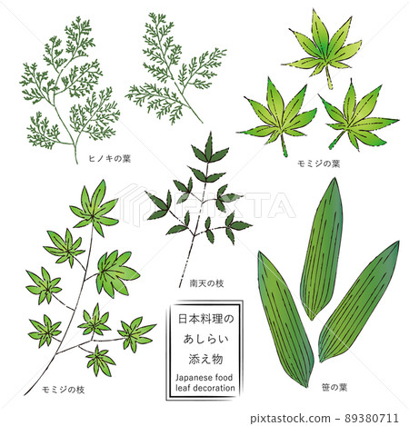 Japanese cuisine leaves color green Japanese cuisine leaves color green 89380711